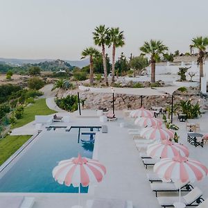 The Palms Concept Hotel Adults Only 16 Plus